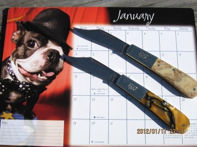 2006%20Bulldog%20Brand%20%20Barlows%20(Acrylic%20scales).jpg