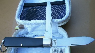 yardsale find.jpg