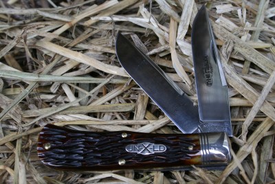 005.JPG