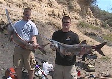 p&r fish2.JPG