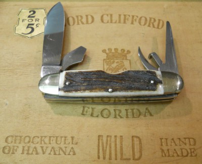Bulldog Scout 019.JPG