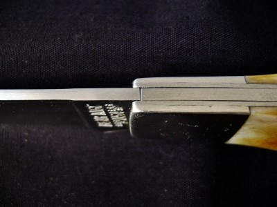 Bear & Son Bone Stag Wharncliffe Lockback - Run Up.JPG