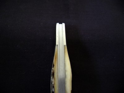 Bear & Son Bone Stag Wharncliffe Lockback - Bolster Back.JPG