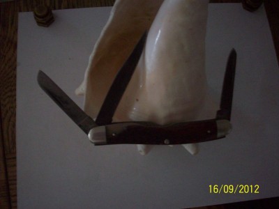 case stockman 002.JPG