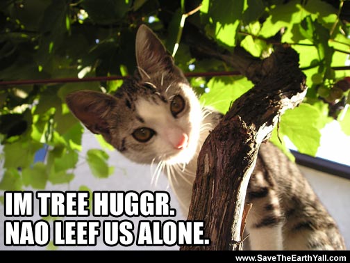 tree_hugger.jpg