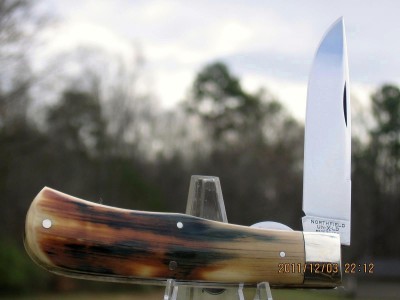 MM Custom   #73 Mammouth Ivory B.JPG