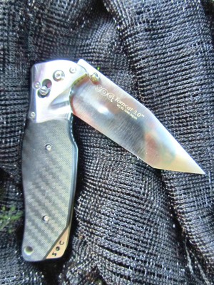 sog 003.JPG