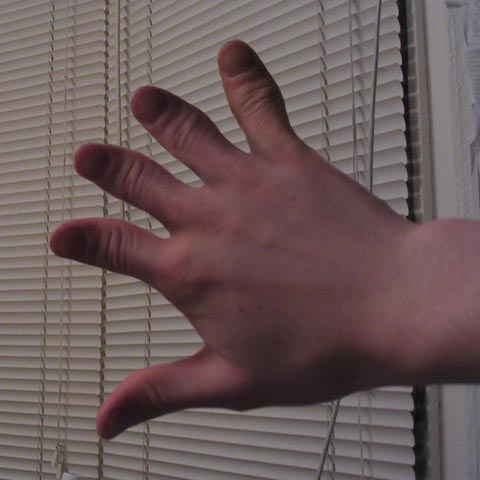 ALL THUMBS.jpg