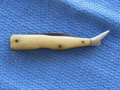 131-3167_IMG.JPG