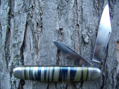 Hammer Blue & Gold tiger stripe 003.jpg