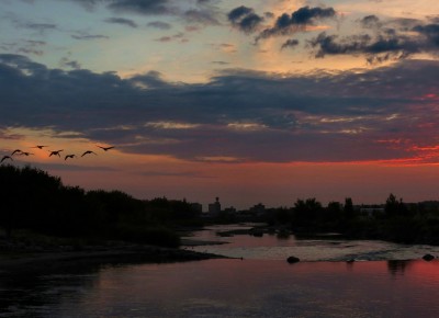morning flight-1.jpg