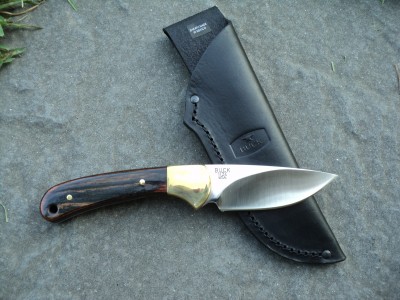 Buck 113 (1).JPG