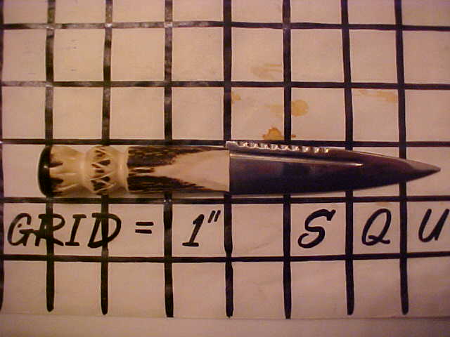 SgainDbhu1.JPG