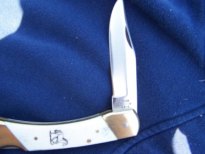 bear2 003.jpg