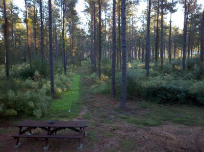 2012-10-13_08-12-59_886.jpg