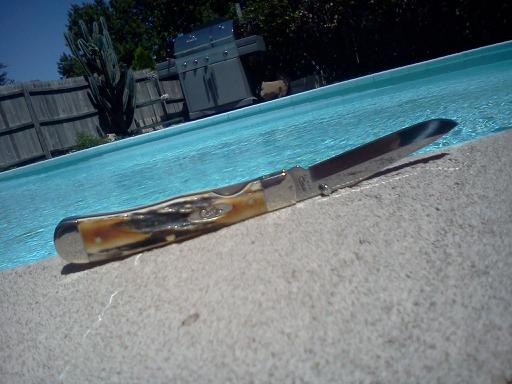 Case TrapperLock knife.jpg