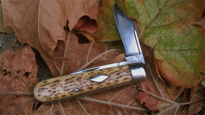 IMG_1892.JPG