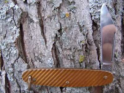 Hammer Brand  copper color.jpg