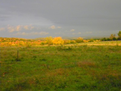 SANY0017.JPG