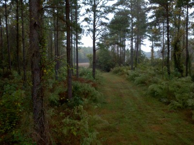 2012-10-19_08-23-35_69.jpg
