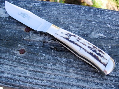GEC H73312 American Elk (a).JPG