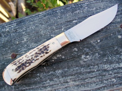 GEC H73312 American Elk (aa).JPG