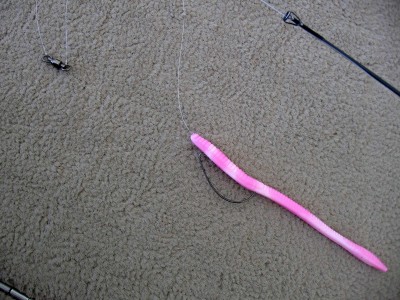 Floatin' Worm Rig.JPG