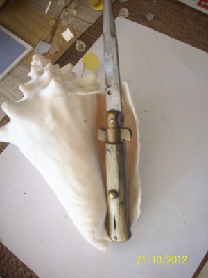 switch from Frosolone 001.JPG