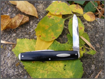 Schrade Cut Co.jpg