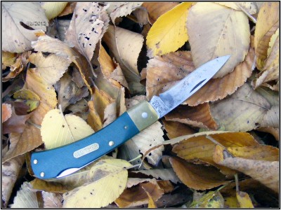 Schrade 5OT.jpg