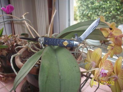 cub scout 001.JPG