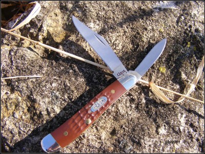 Case 6220SS.jpg