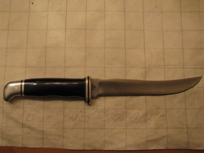 Buck121 1.jpg