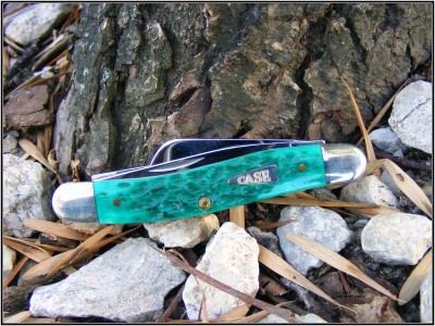 Case 6318SS grn.jpg