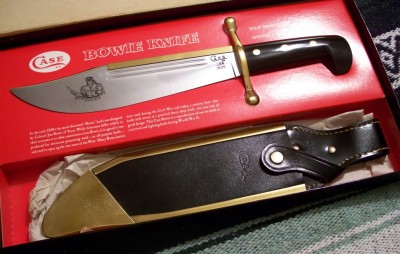 case bowie2.jpg