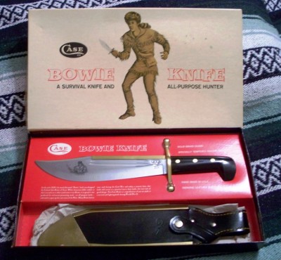 case bowie1.jpg