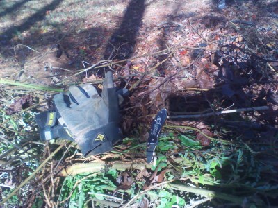 IMG_20121109_112053.jpg