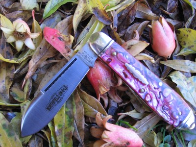 GEC #852112 Red Abalone LG (b).JPG