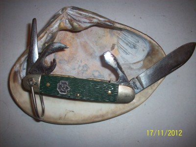 larkin & girl scout 004.JPG