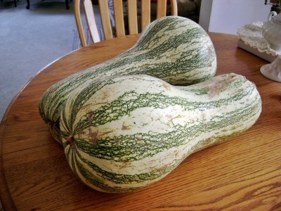 November 2012 Squash.JPG