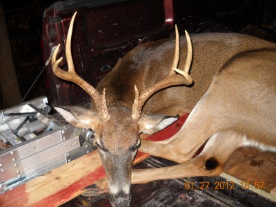 january 2012 004.JPG