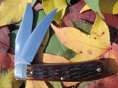 GEC #748212SAB Autumn Gold Bone (a).JPG