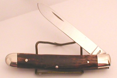 6175.JPG