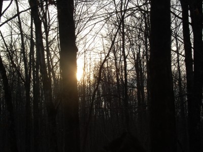 Nov '12 gun hunt 012.jpg