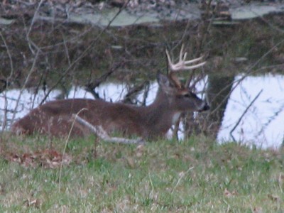 IMG_8415.JPG