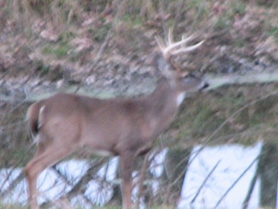 IMG_8430.JPG