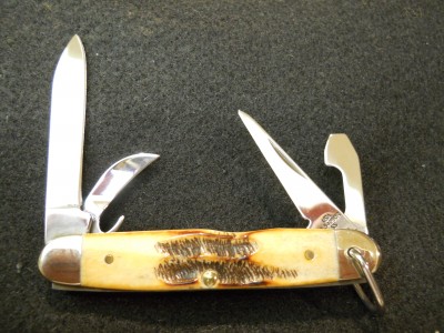 Bone Stag (2).JPG