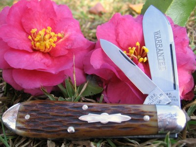 JBF Champlin Antique Walnut Bone #16  (a).JPG