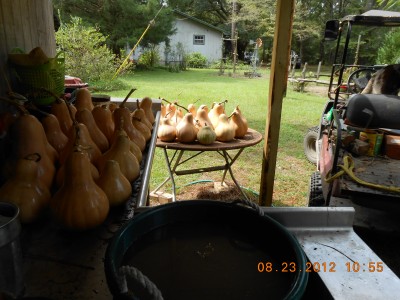 8-23-12  1055a.JPG