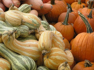 Golden & Green Cushaw-squash.jpg